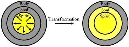 The Process of Regeneration